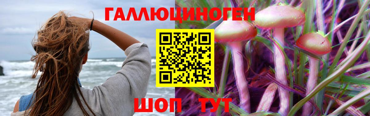 Галлюциногенные грибы Magic Shrooms Горячий Ключ